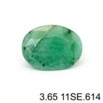 Natural Green Sakota Emerald - 3.65 Carat